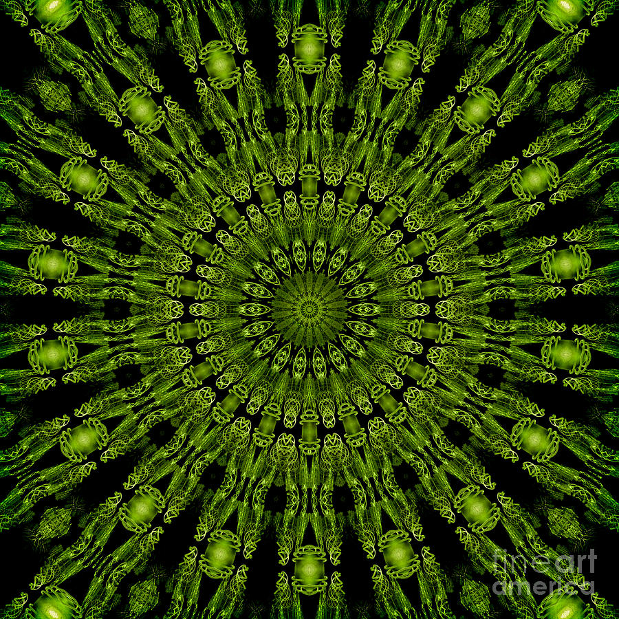 Green Tassels Digital Art by Elaine Teague