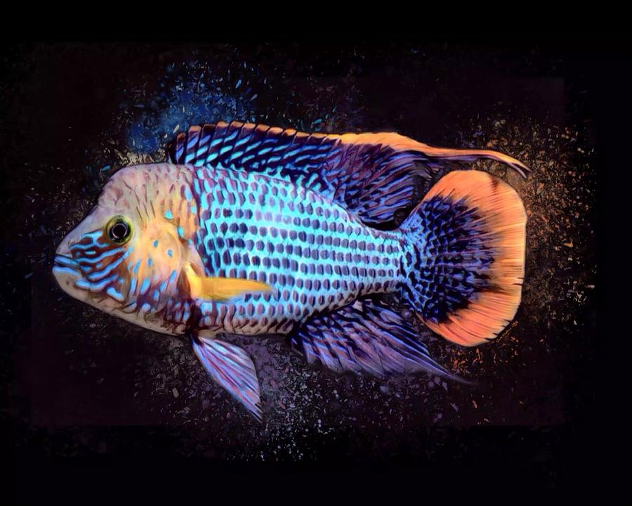 Green Terror Cichlid Digital Art by Scott Wallace Digital Designs