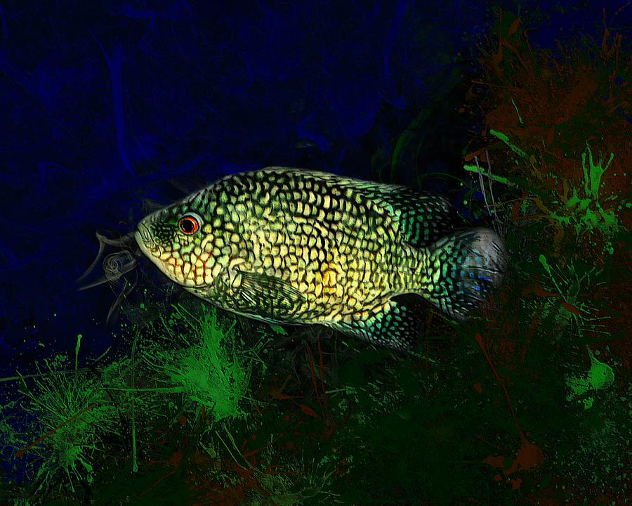 Green Texas Cichlid Painting Digital Art By Scott Wallace Digital