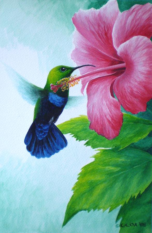 Green-throated Carib and pink hibiscus Painting by Christopher Cox