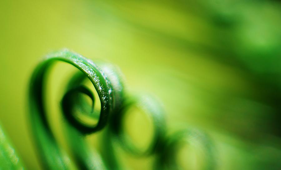Abstract Photograph - Green Tides by Catherine Lau