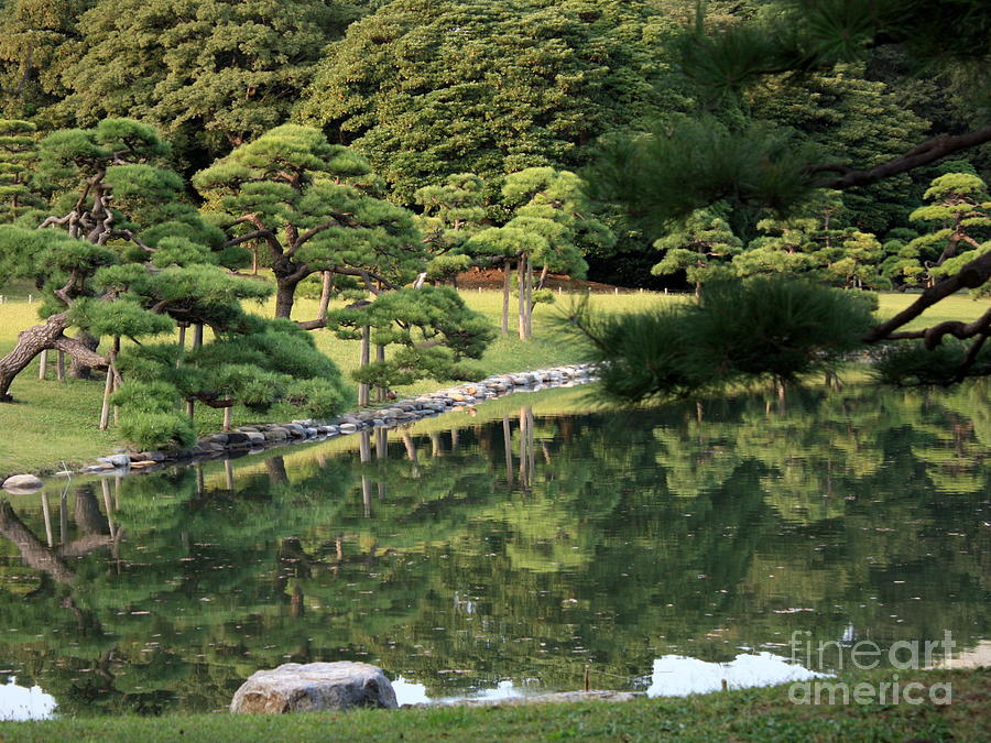 Tokyo Photograph - Green Tokyo Garden by Carol Groenen