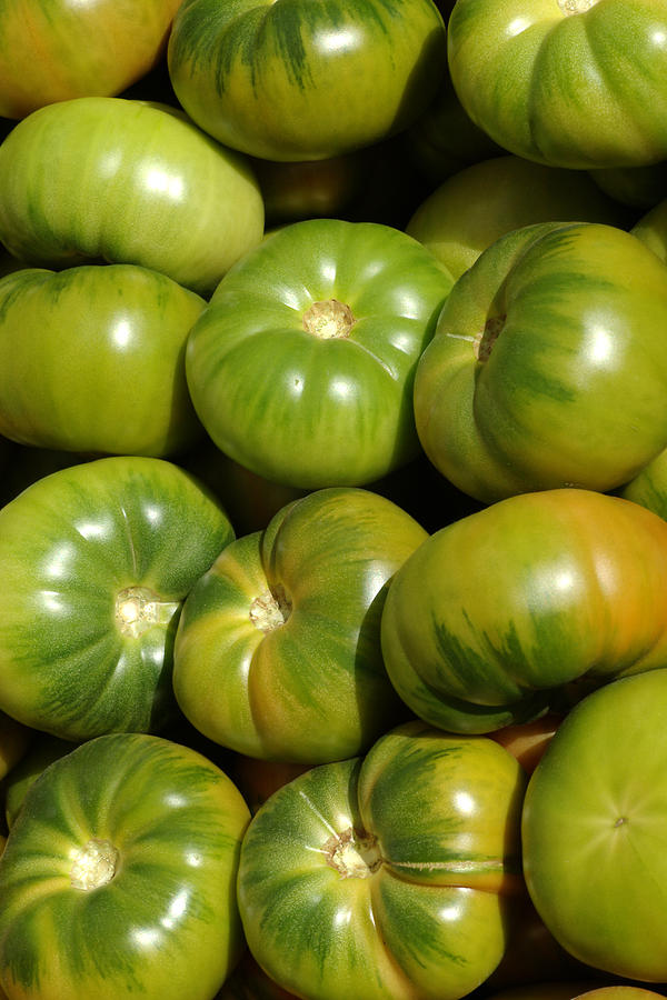 Greek Photograph - Green Tomatoes by Frank Tschakert