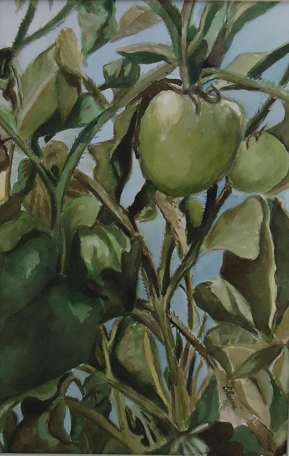 Greens Painting - Green Tomatoes on the Vine by Charme Curtin