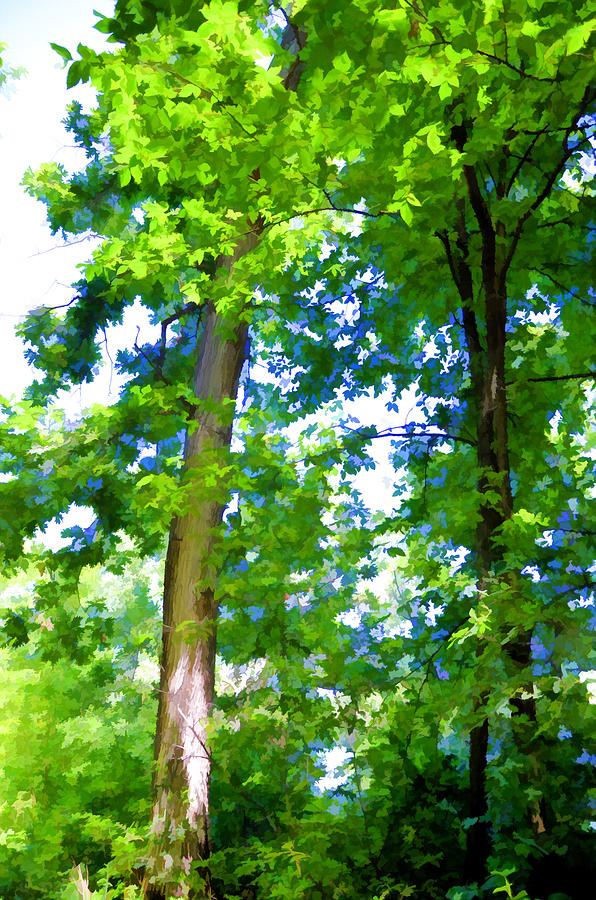 Green trees 1 Painting by Jeelan Clark