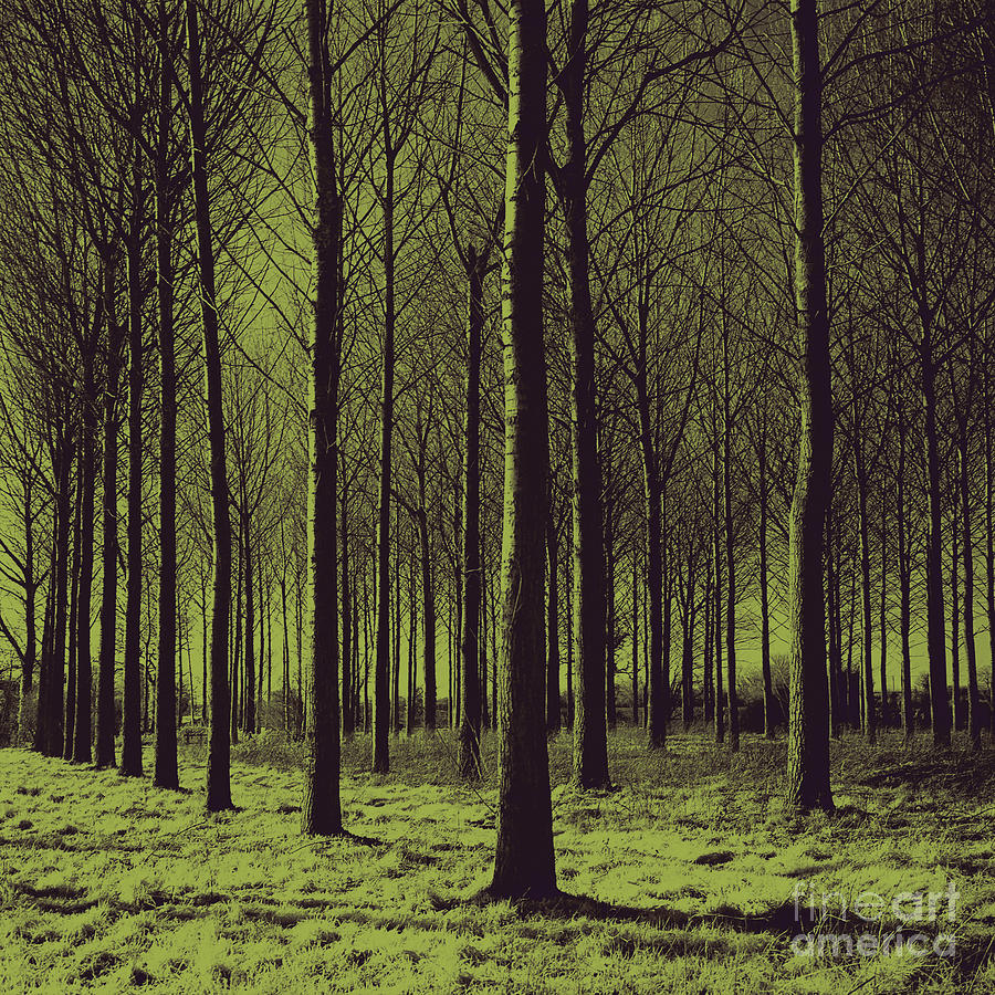 Green Trees Painting by Gull G