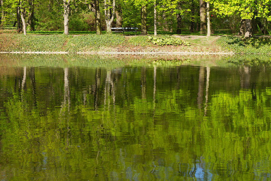 Green Trees Reflection Photograph by Anastasy Yarmolovich
