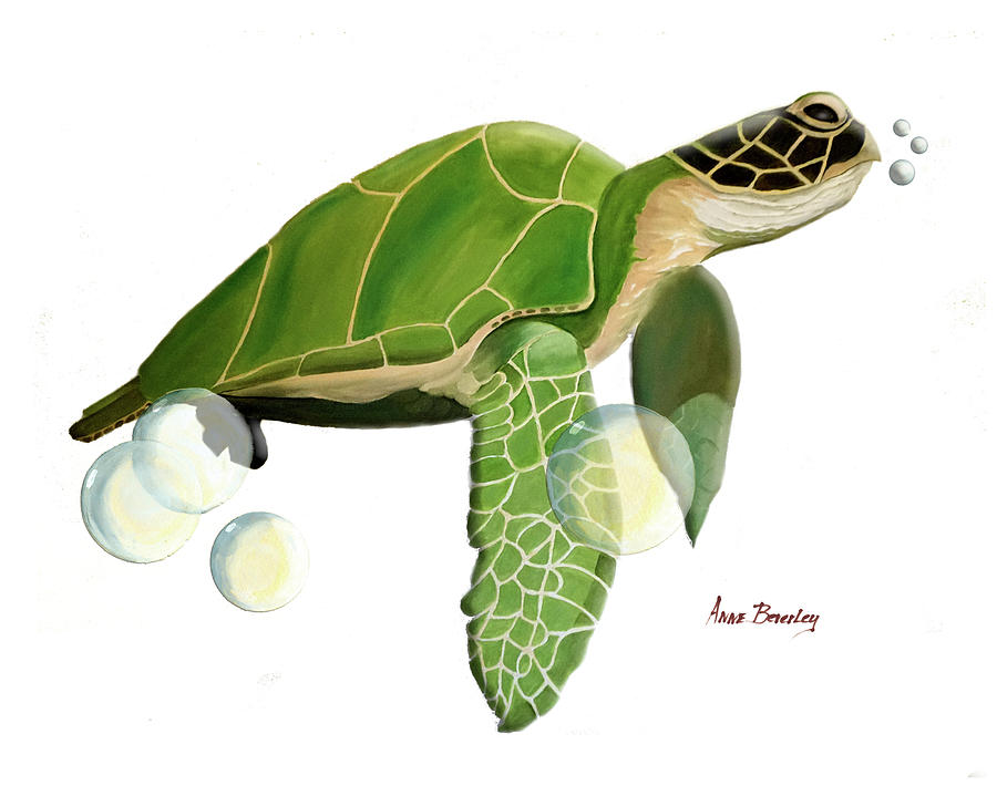 Green Turtle Painting by Anne Beverley-Stamps