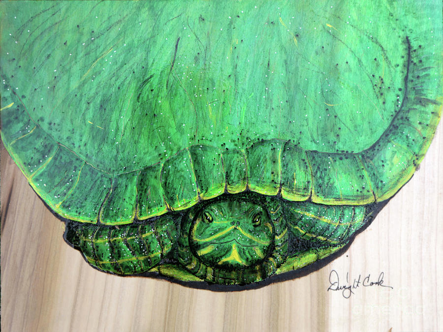 Green Turtle art Photograph by Dwight Cook