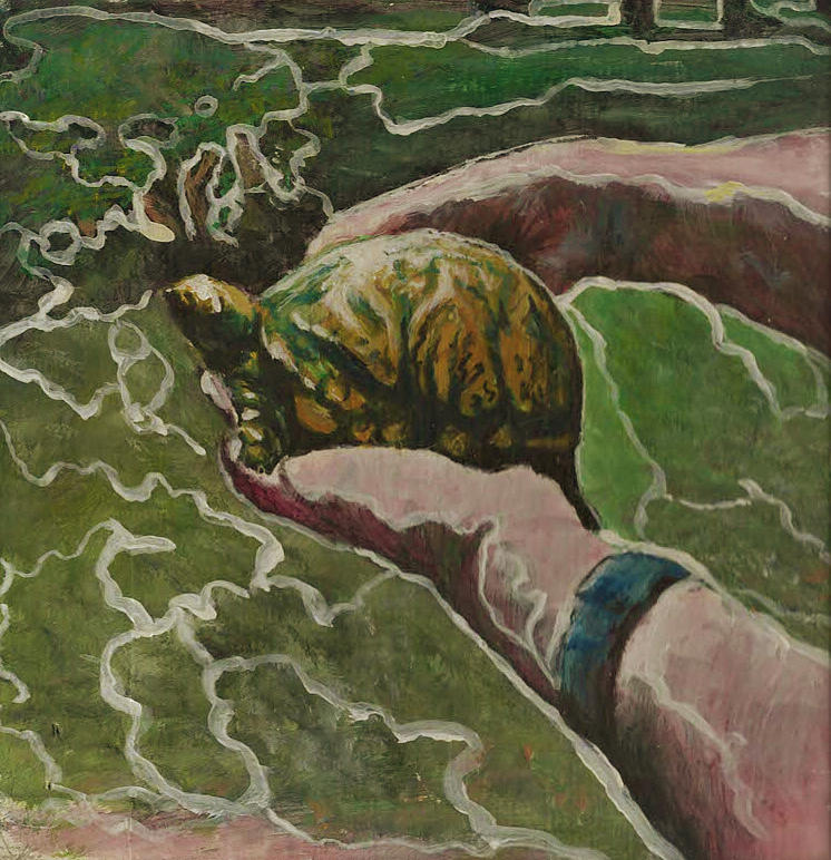 Green Turtle Painting by John Edwe