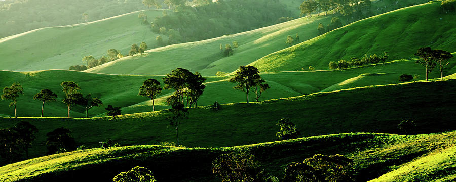 Nature Photograph - Green Valley by Az Jackson