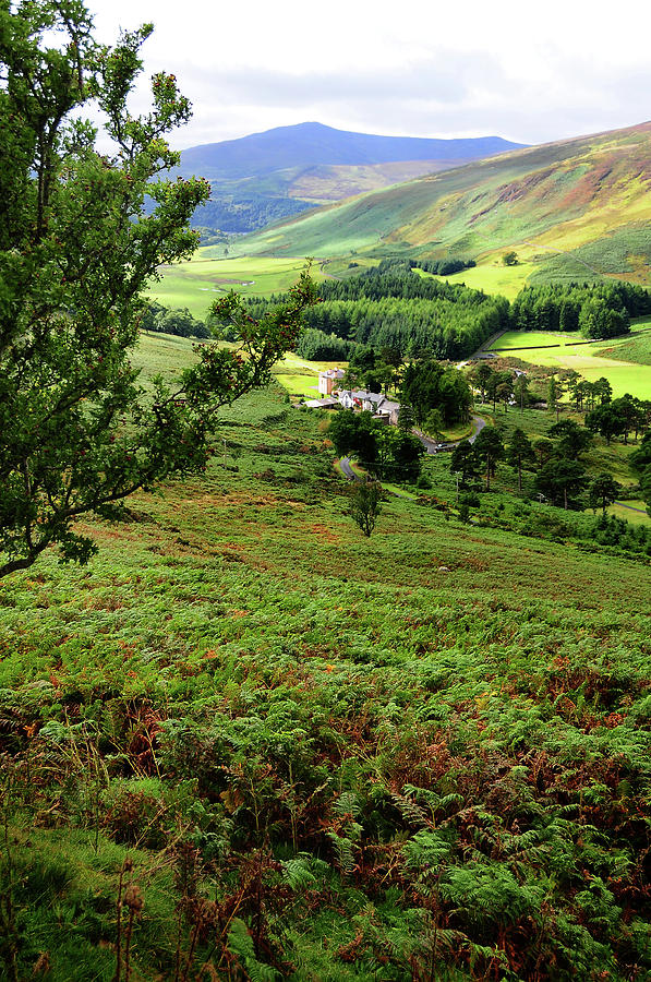 Green Valley in Wicklow Hills. Ireland Photograph by Jenny Rainbow