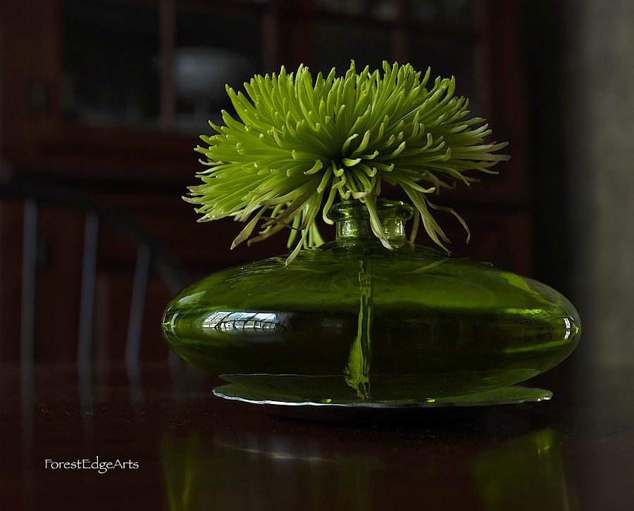Green Vase Still Life Photograph by Dick Bourgault
