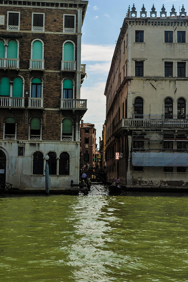 Green Venice Photograph