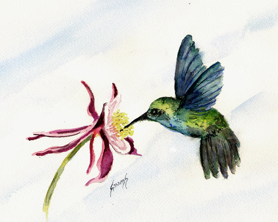 Green Violet-Ear Hummingbird Painting by Sam Sidders