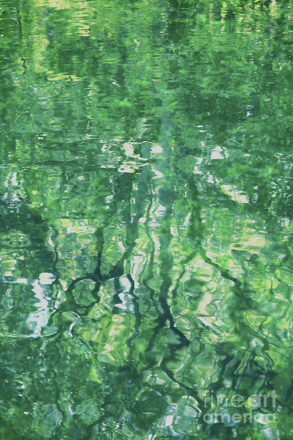 Green Water Abstract Photograph by Carol Groenen