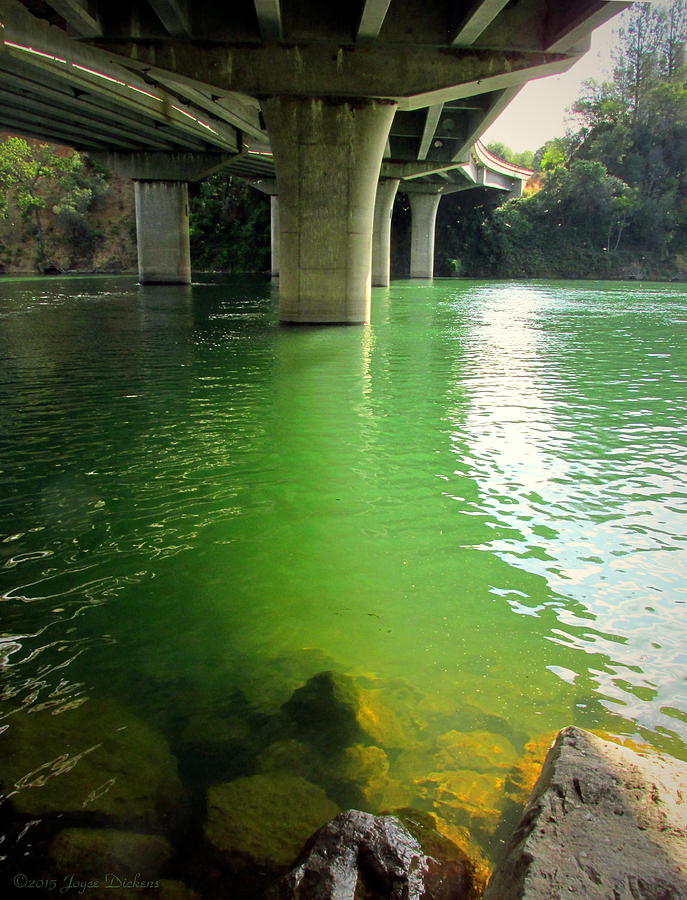 Redding Photograph - Green Water Under Bonneview Bridge by Joyce Dickens