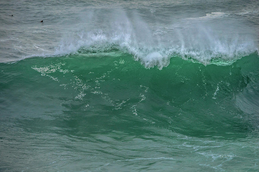 Green Wave  Photograph by Bill Posner
