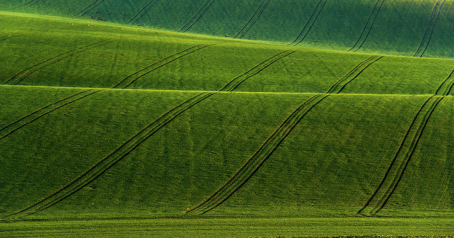 Green Waves of Rolling Hills Photograph by Jenny Rainbow