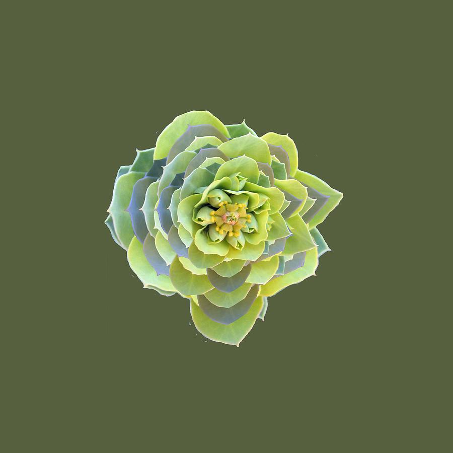 Green Weed Flower Kaliedoscope Digital Art by Julia L Wright