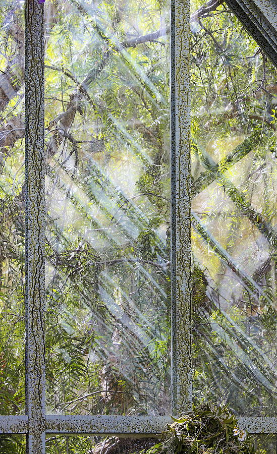 Green Windows Photograph by Viktor Savchenko