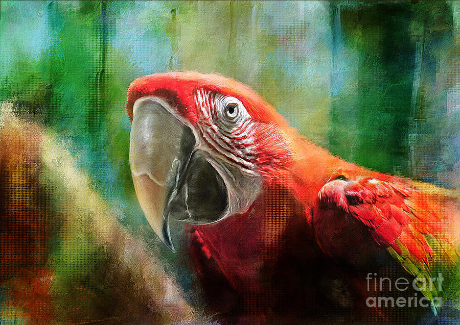 Green Winged Macaw Digital Art by Lois Bryan