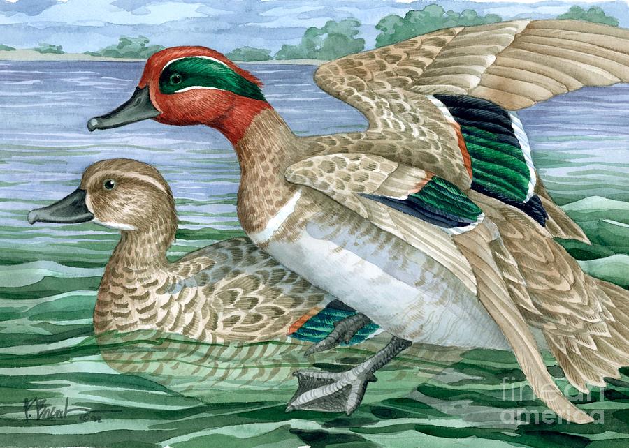 Duck Painting - Green Winged Teal by Paul Brent