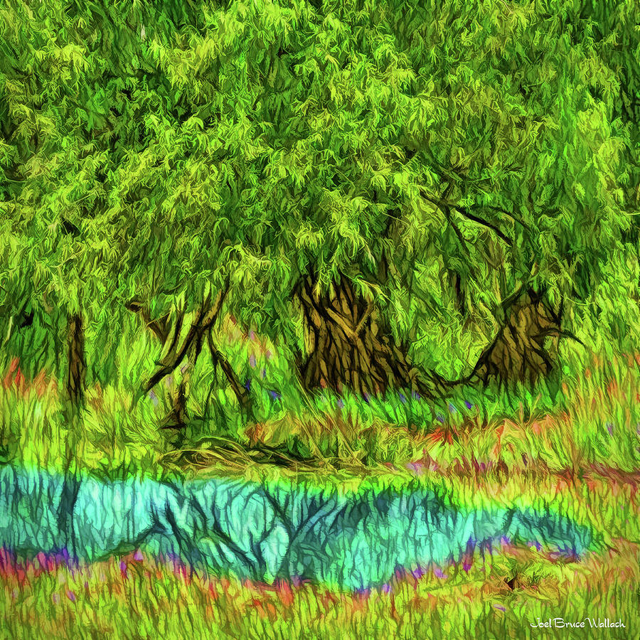 Green Woods Reflection Pond - Boulder County Colorado Digital Art by Joel Bruce Wallach