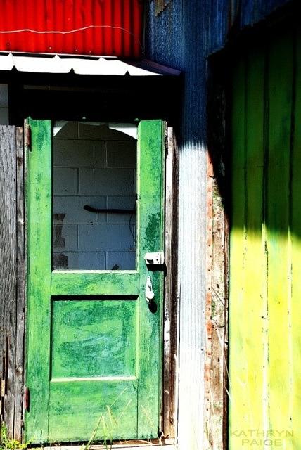 Green Works Photograph by Kathryn Paige - Fine Art America