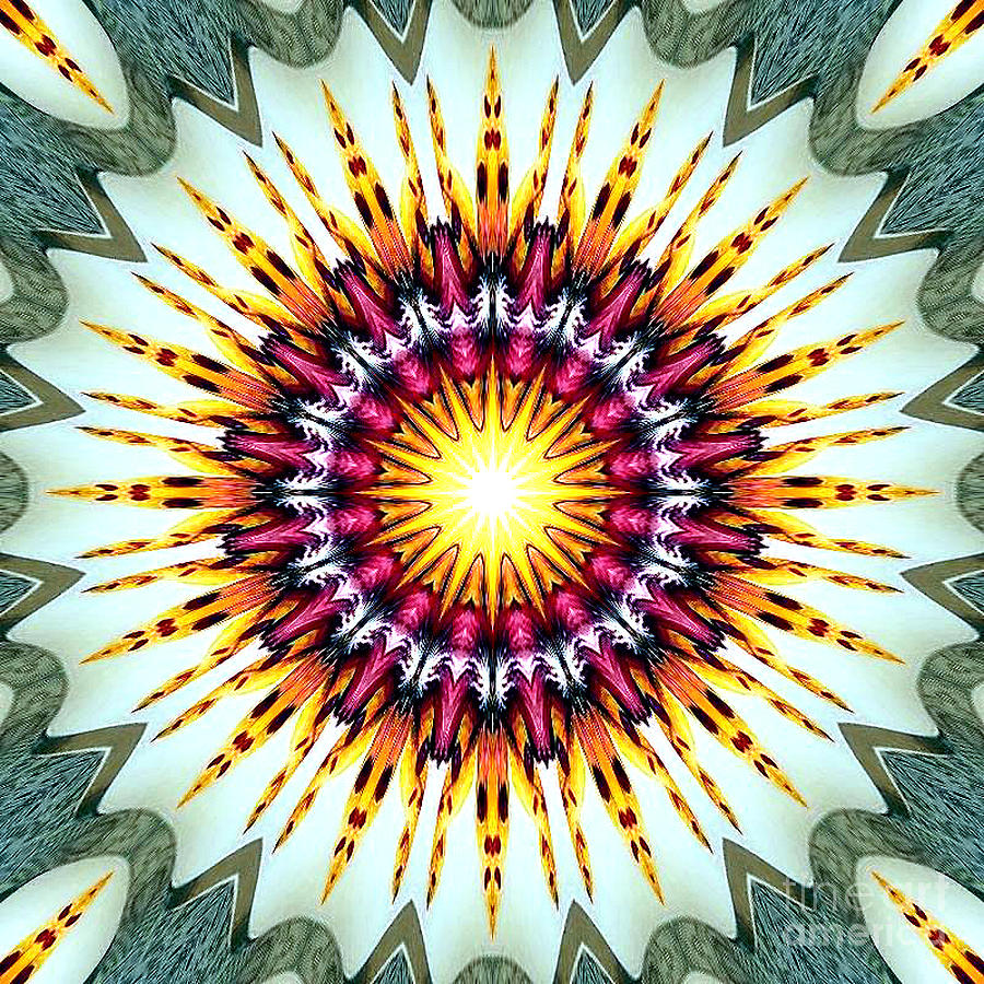 Green yellow red star-flower 2 Digital Art by Sofia Goldberg - Fine Art ...