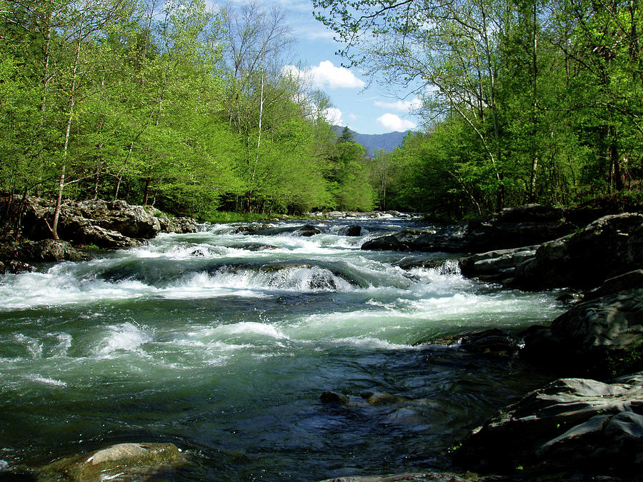 Greenbrier River Scene Photograph by Nancy Mueller