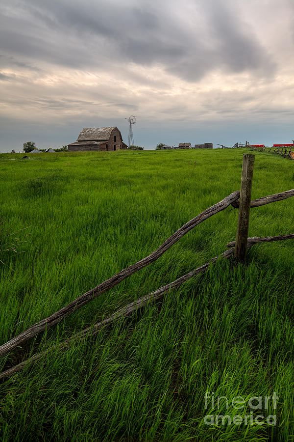 Summer Photograph - Greenfield Opportunity by Royce Howland