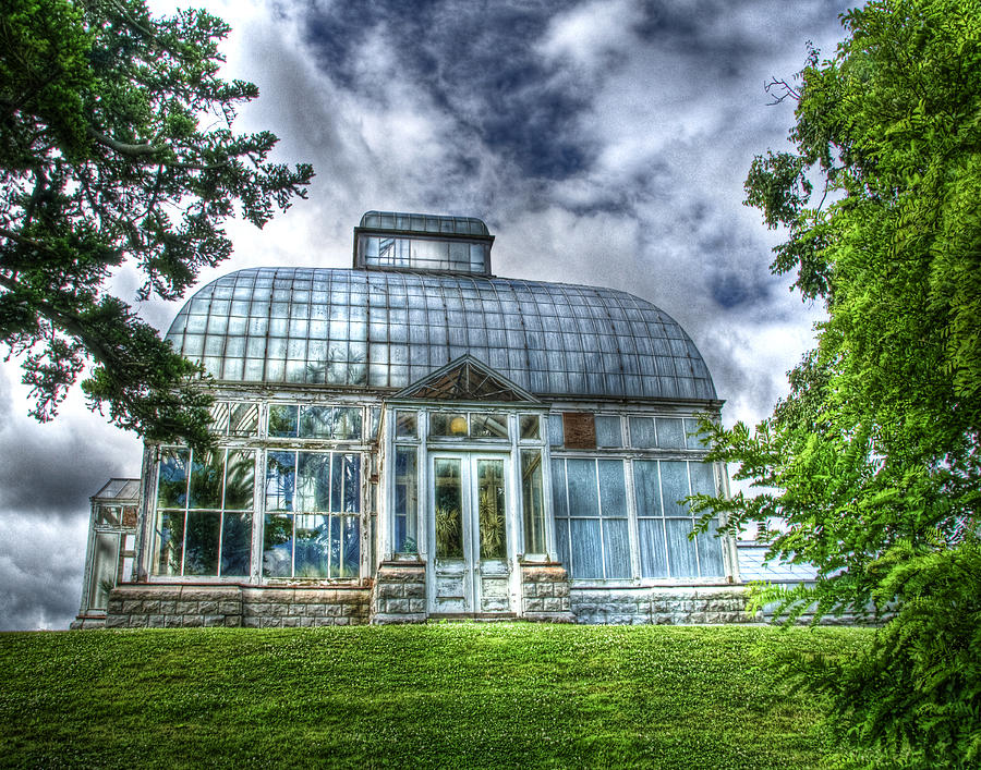 Buffalo Photograph - Greenhouse at Botanical Gardens by Tammy Wetzel