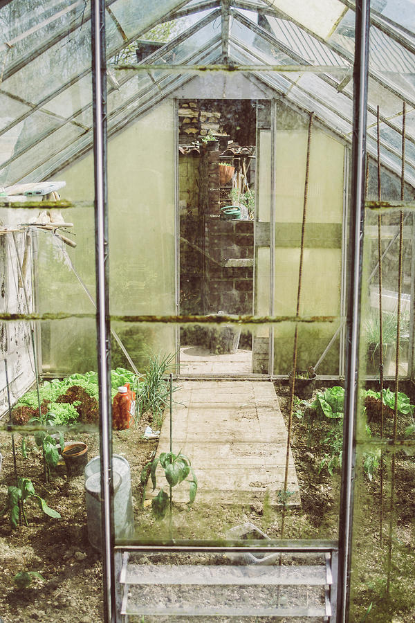 Greenhouse Photograph by Pati Photography - Fine Art America