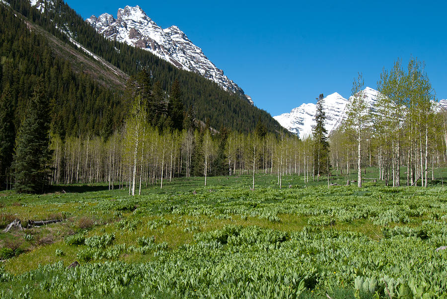Greens and Blues of the Maroon Bells Photograph by Cascade Colors