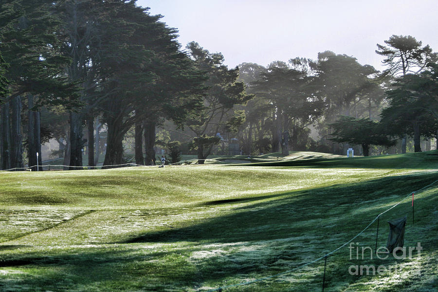 Greens Golf Harding Park San Francisco  Photograph by Chuck Kuhn