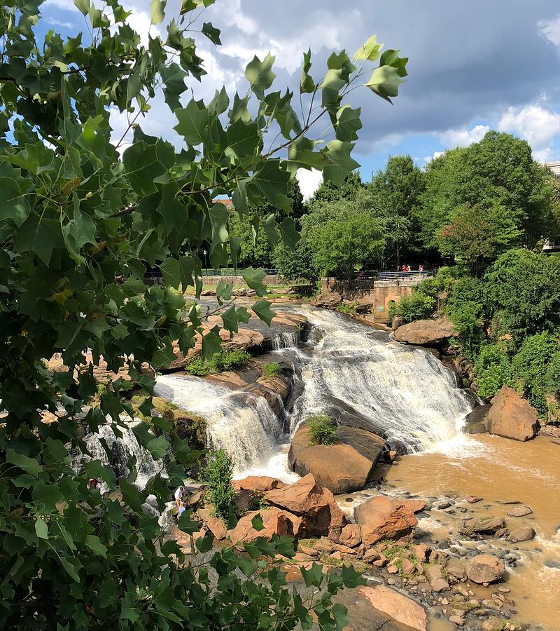 Waterfall Photograph - Greenville SC Reedy River by Bob Mandala