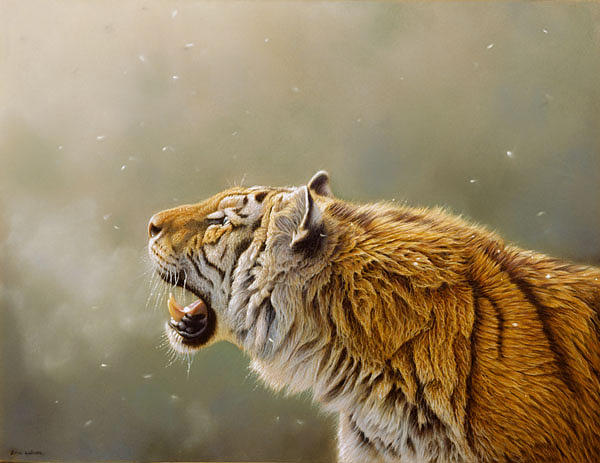 Jungle Painting - Greeting the first snows of winter by Eric Wilson