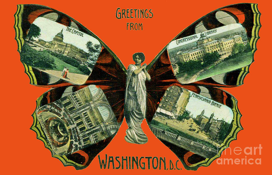 Vintage Photograph - Greetings from Washington DC by Jost Houk