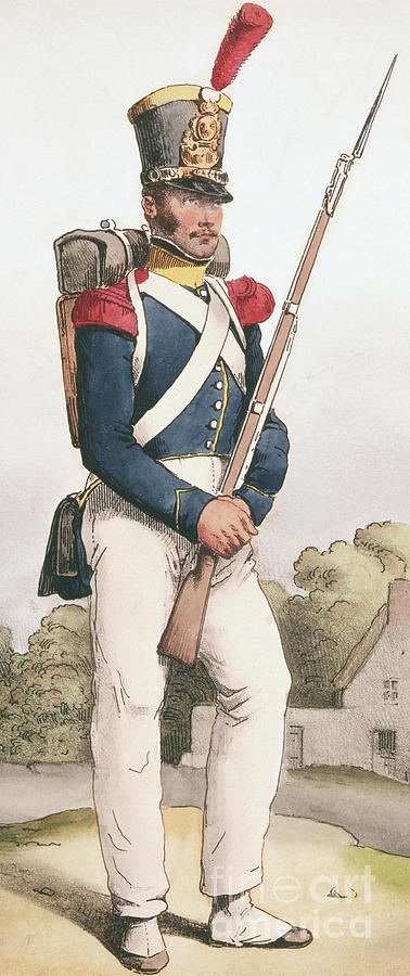 Grenadier Guard, 1824 Painting by Joseph-Louis-Hippolyte Bellange