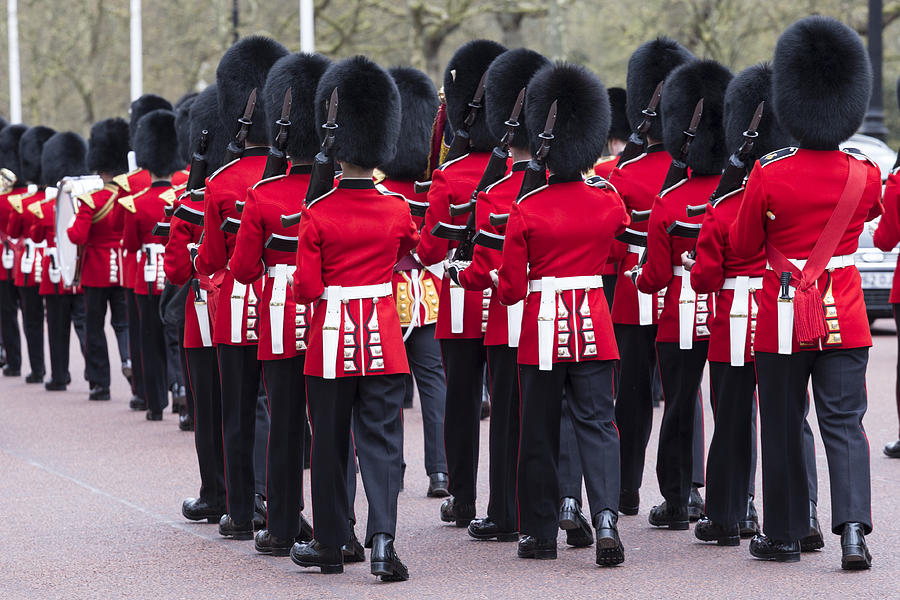 Grenadier Guards Photograph by David Pyatt - Pixels