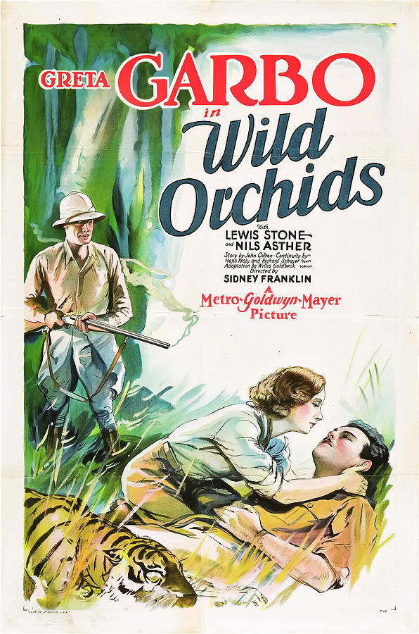 Movie Drawing - Greta Garbo in Wild Orchids 1929 by Mountain Dreams