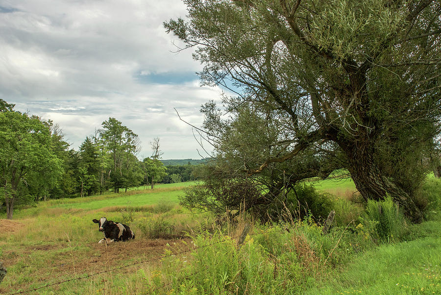 Greta Visits Constable Photograph by Eliza McNally - Fine Art America