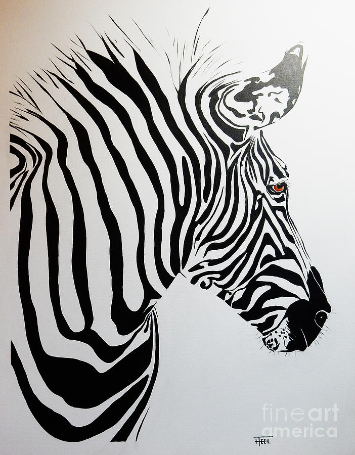 Grevy's Zebra by Harold Teel Grevy's Zebra by Harold Teel
