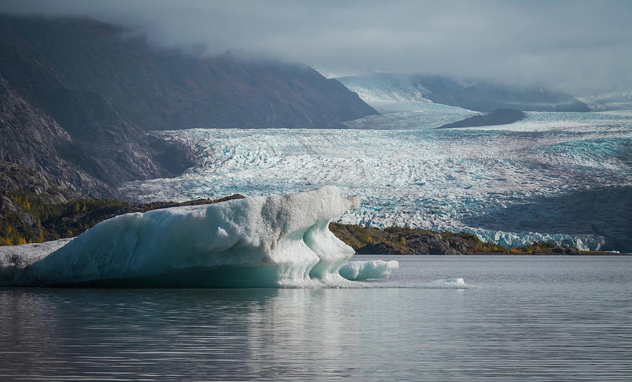 Nature Photograph - Grewingk Glacier by Eva Lechner