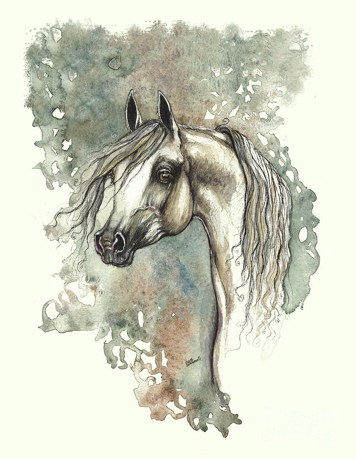 Grey arabian horse 2013 11 18 Painting by Ang El