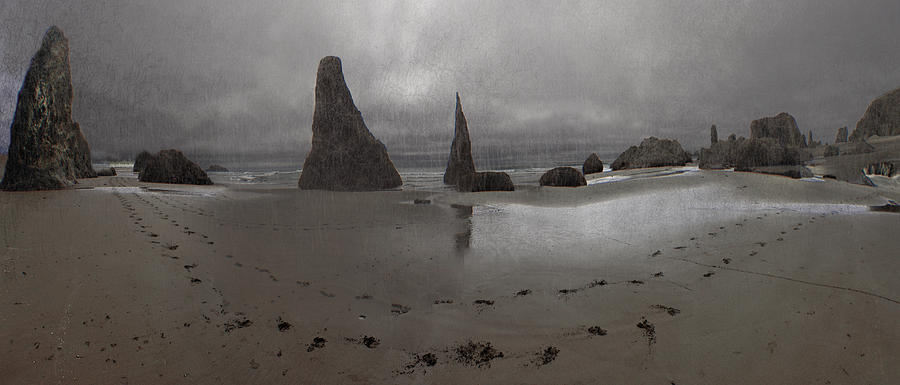 Grey Beach Panorama Photograph by Adria Trail