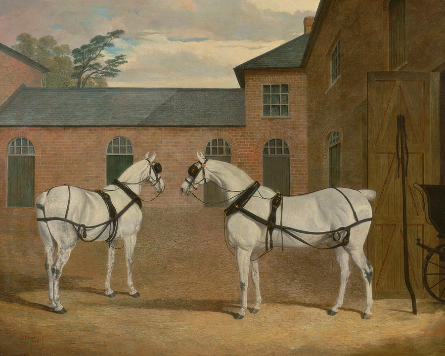 Grey Carriage Horses in the Coachyard at Putteridge Bury, Hertfordshire Painting by John Frederick Herring