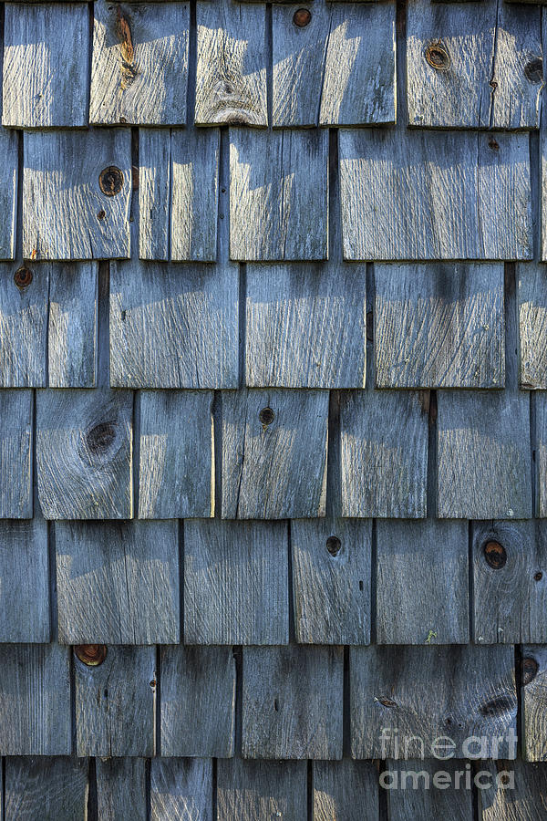 Barn Photograph - Grey Cedar Shingles on an old barn by Edward Fielding