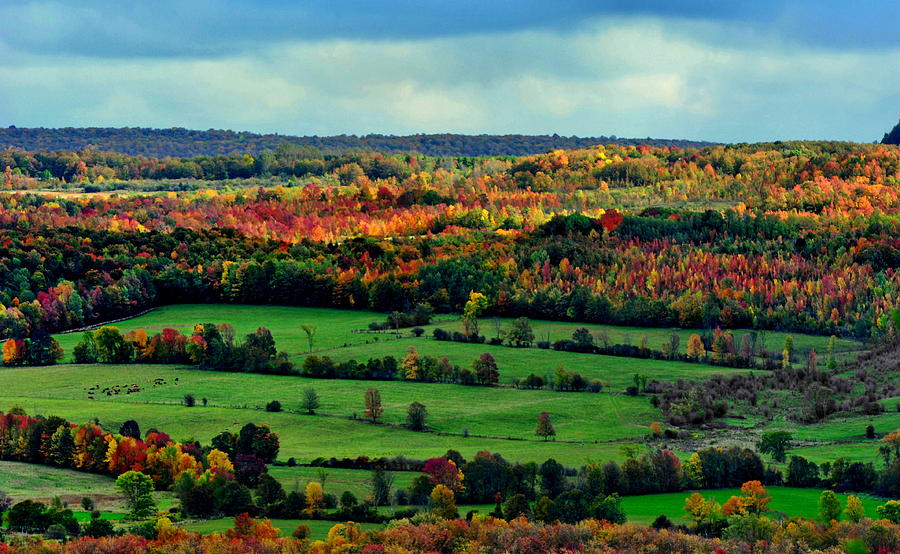 Grey County Ontario Autumn Photograph by Andrea Kollo
